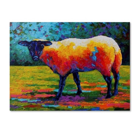 Marion Rose 'Suffolk Ewe III' Canvas Art,18x24